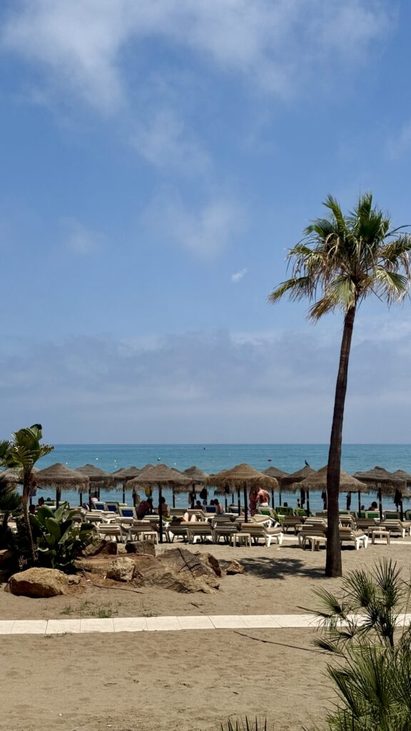 Malaga Travel Guide