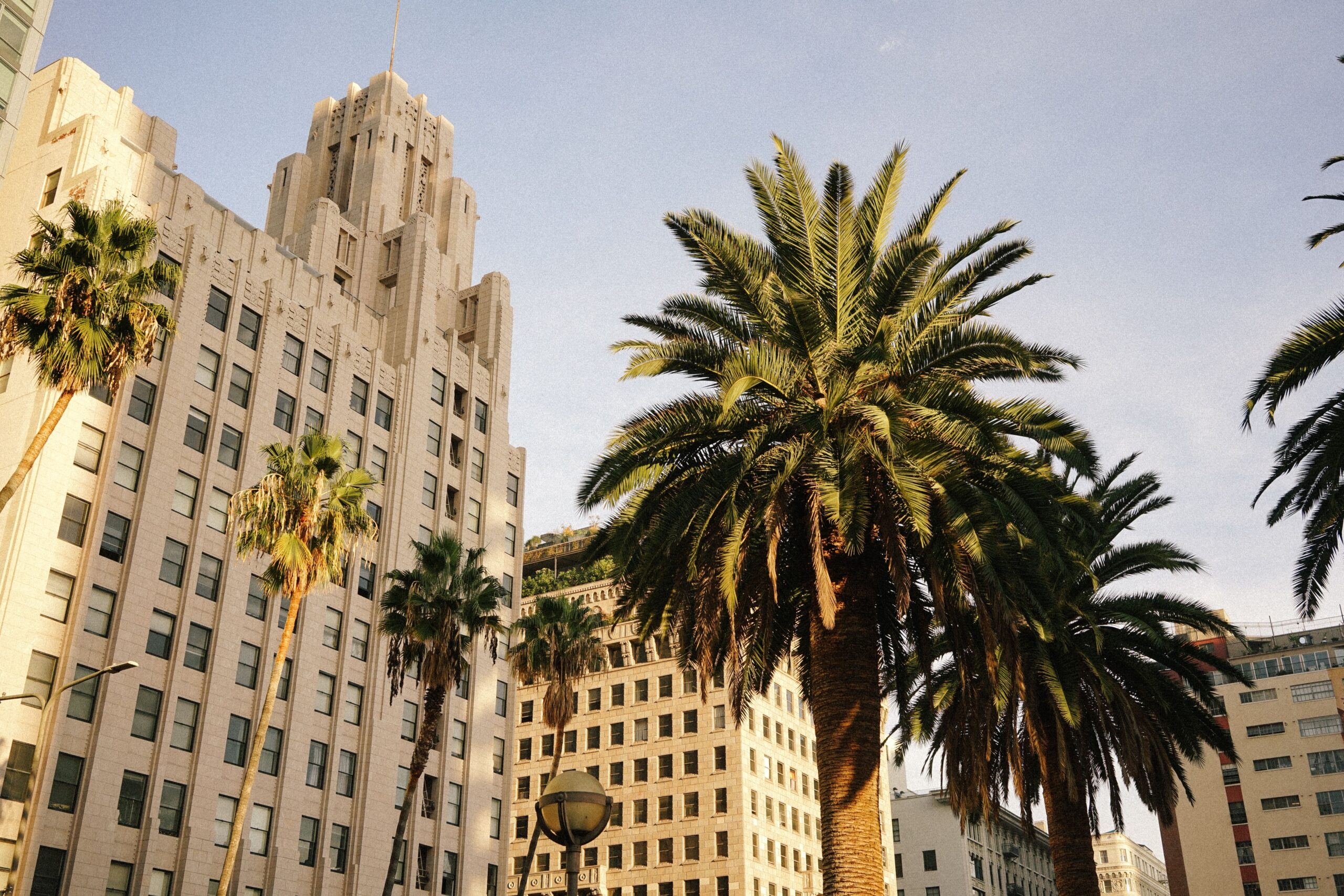 Los Angeles Views