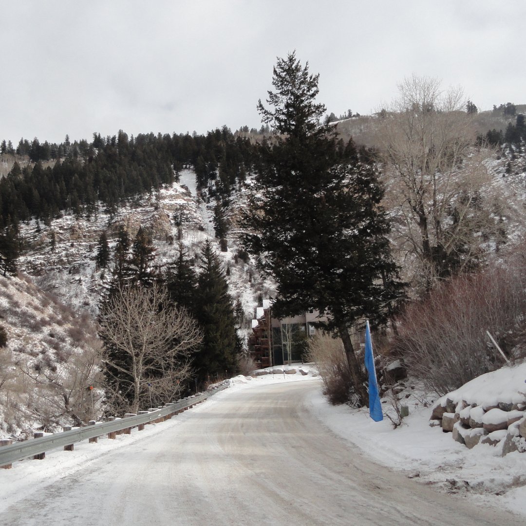 A snowy, curved road leads into snow-covered mountains with trees dotting them. A blue sign stands at the side of the road.