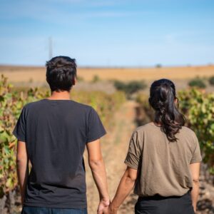The backsides of a young, newlywed couple holding hands in a vineyard with blue sky in the background.