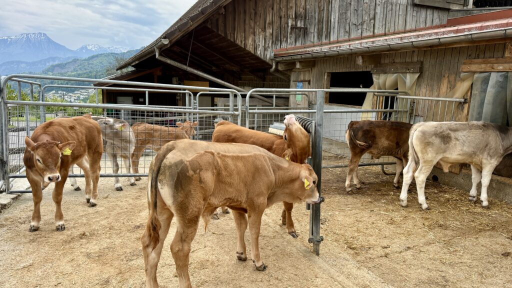 Context Travel Tours in Switzerland