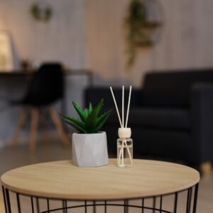 A close-up of a small living room coffee table. There's a reed diffuser and small cactus plant on the tabletop.