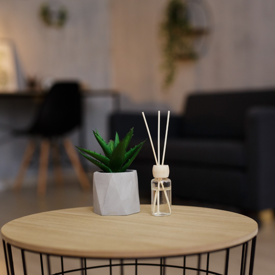 A close-up of a small living room coffee table. There's a reed diffuser and small cactus plant on the tabletop.