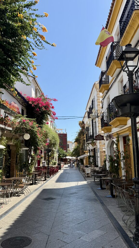 Marbella day trip from Malaga