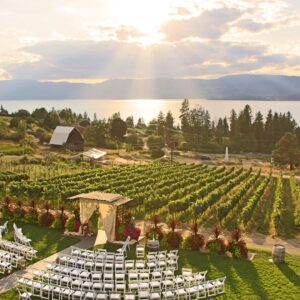 Outdoor vineyard wedding ceremony overlooking a lake and mountains, with rows of white chairs, a floral arch, and sunlit grapevines.