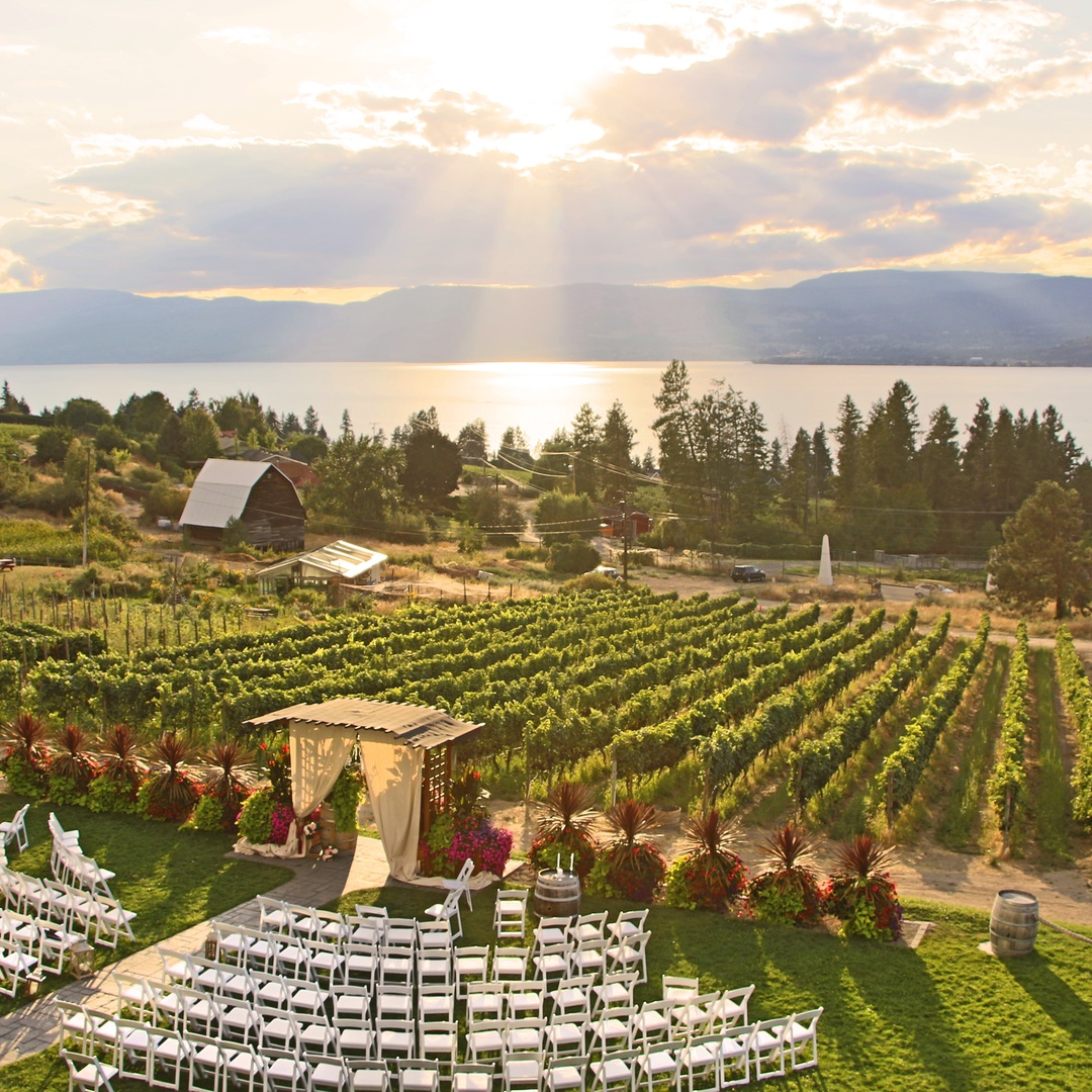 Outdoor vineyard wedding ceremony overlooking a lake and mountains, with rows of white chairs, a floral arch, and sunlit grapevines.