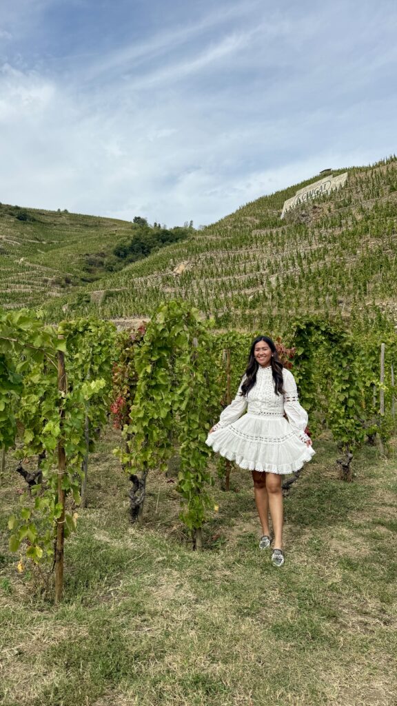 half-day wine tasting in the Northern Rhône Valley